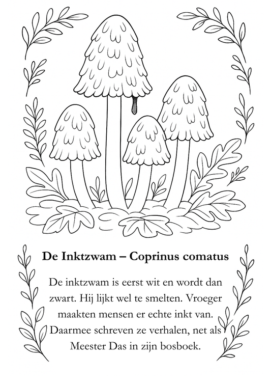 Natuurlesjes kleurboek - herfsteditie