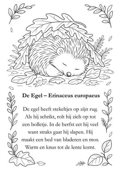 Natuurlesjes kleurboek - herfsteditie