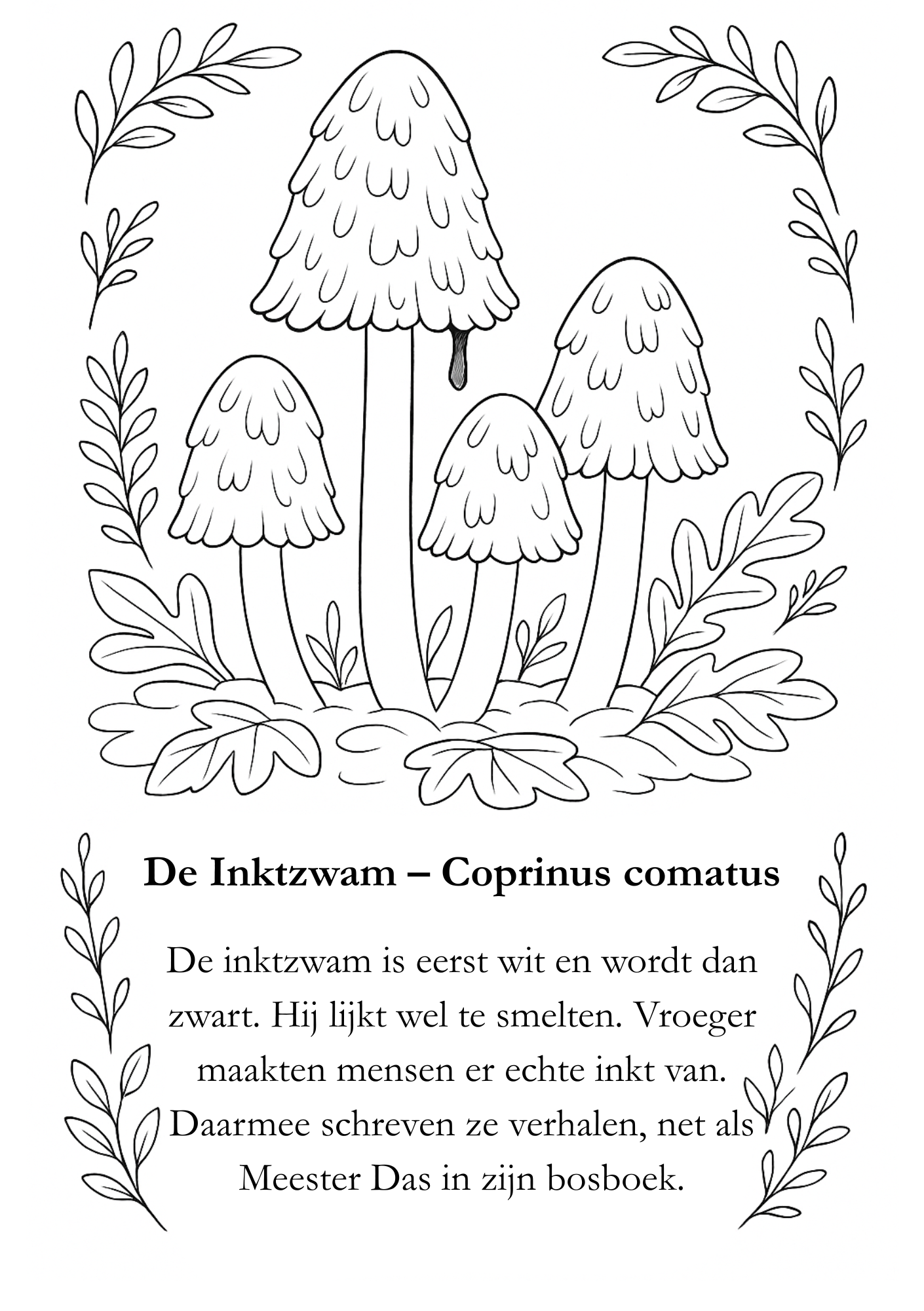 Natuurlesjes kleurboek - herfsteditie